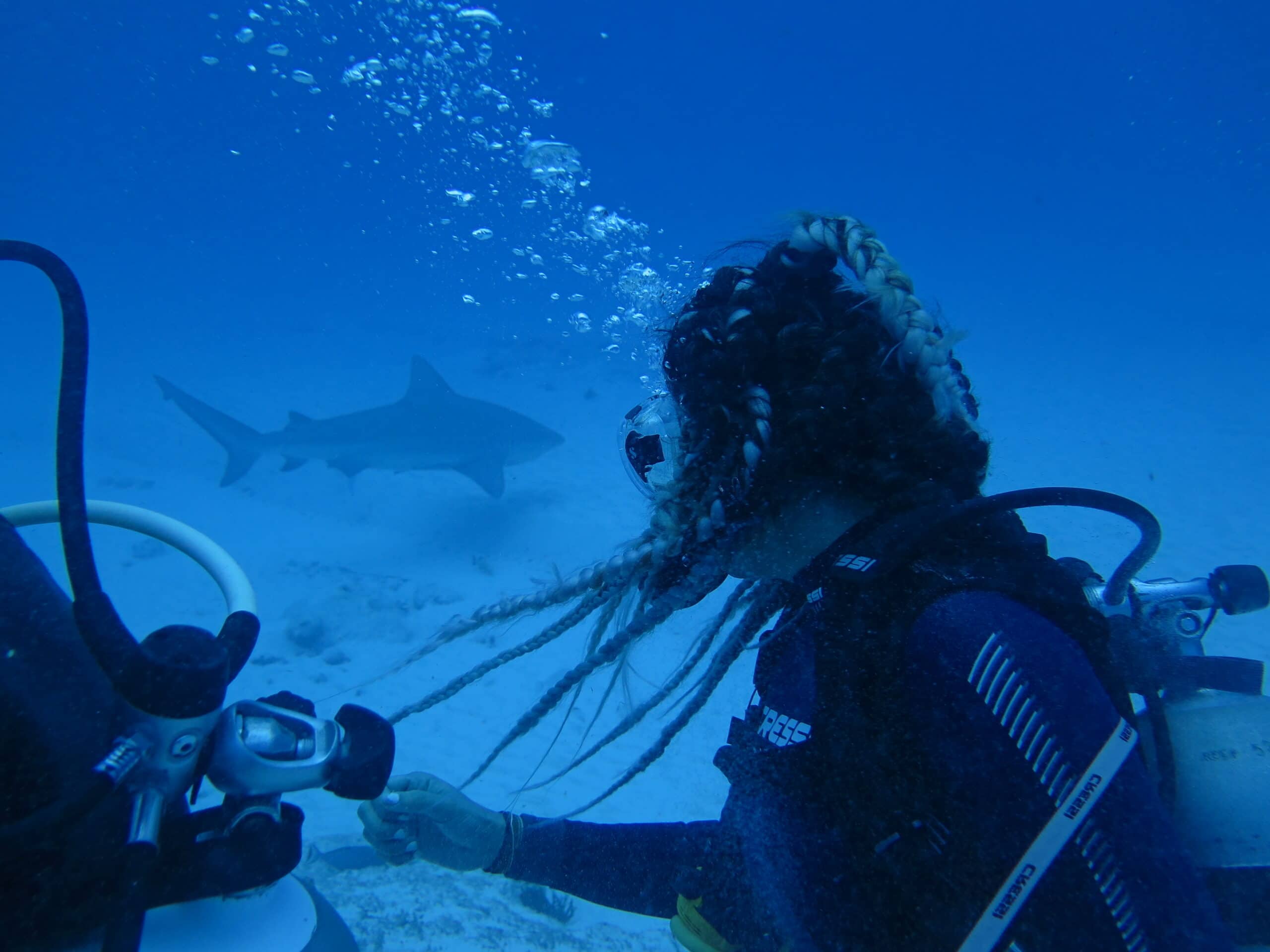 Underwater photo of a diver observing a bull shark from a safe distance.