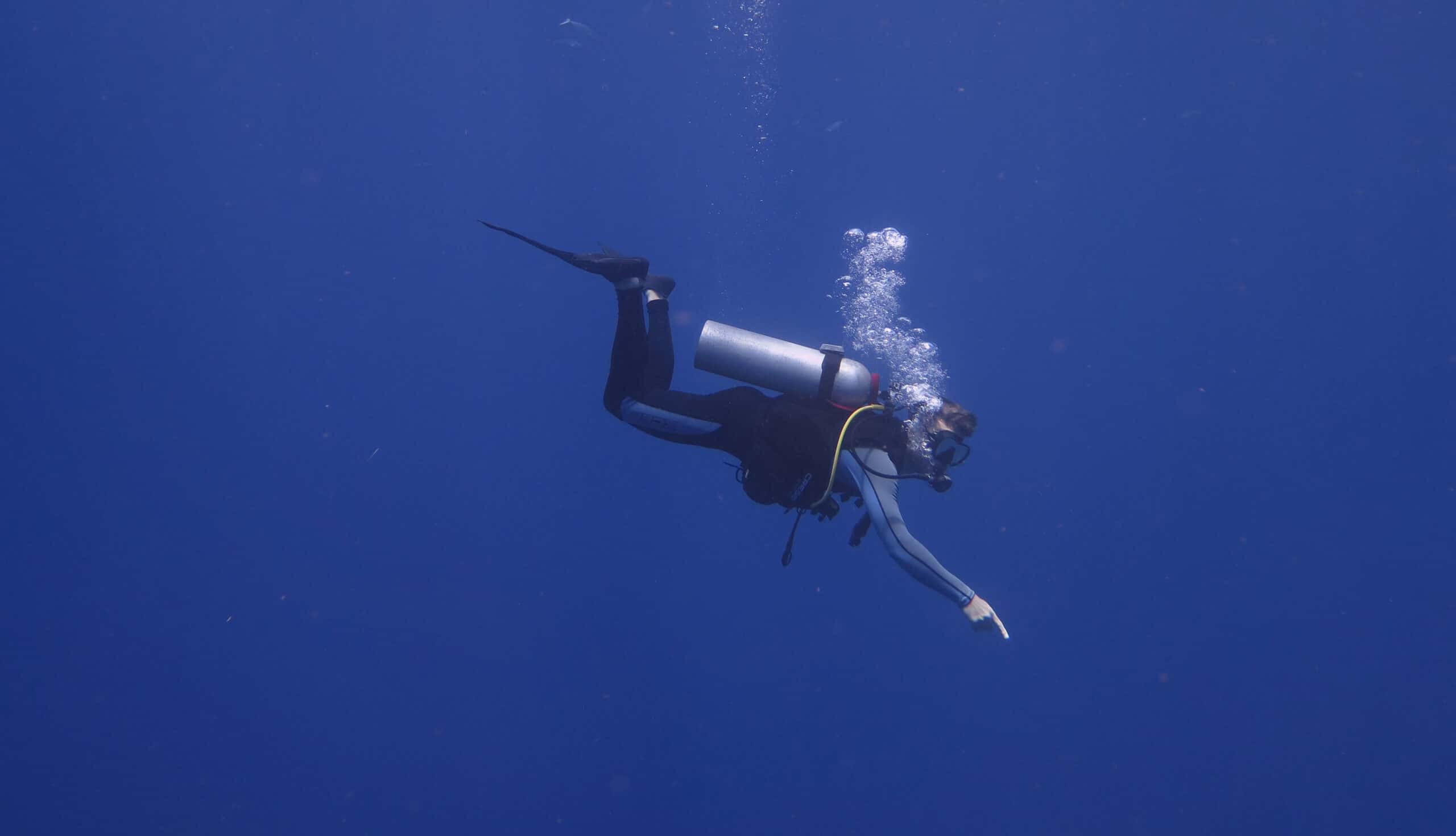 Underwater photo of a diver pointing downwards.