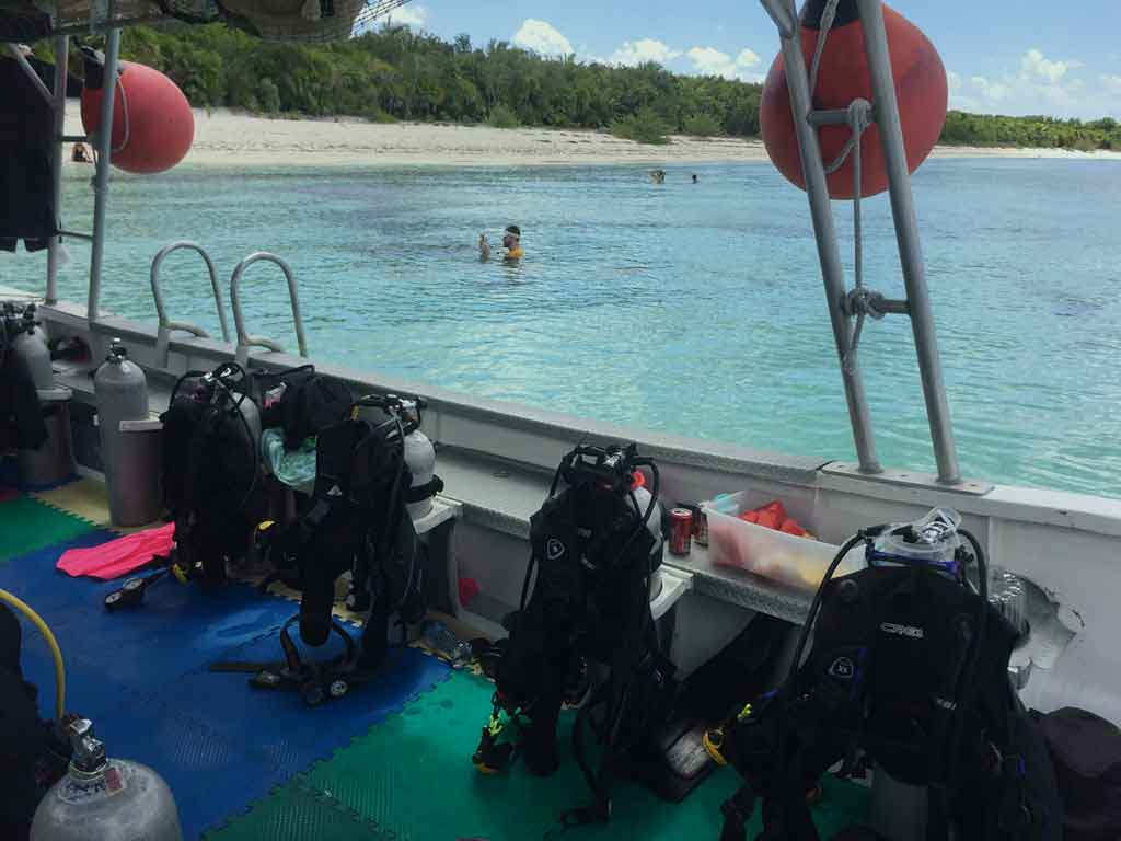 Discover Boat Dive
