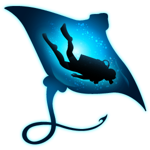 Blue Mystic Divers Logo Mark