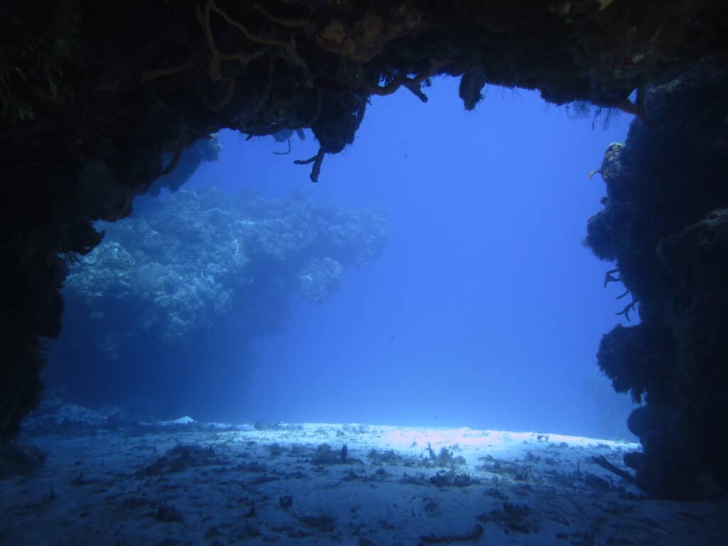 Underwater photo of a reef cave formation.